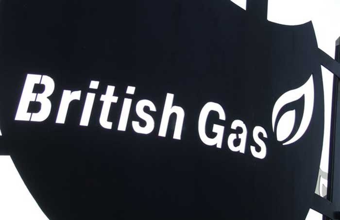 British Gas Survey